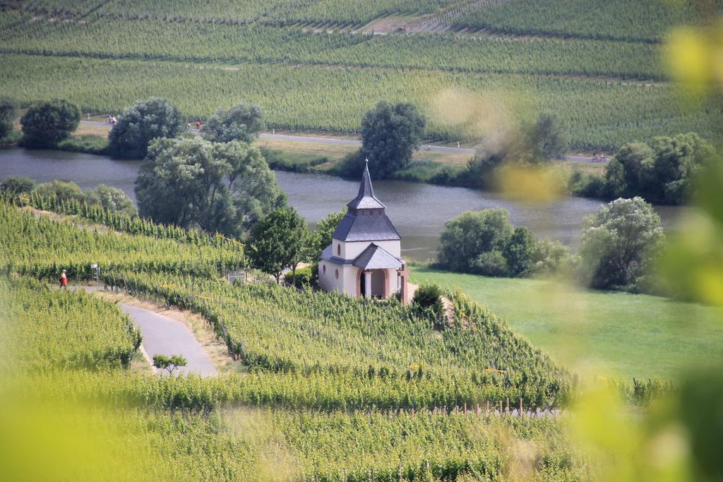 מלון טריטנהיים Wein & Gastehaus Hermeshof מראה חיצוני תמונה